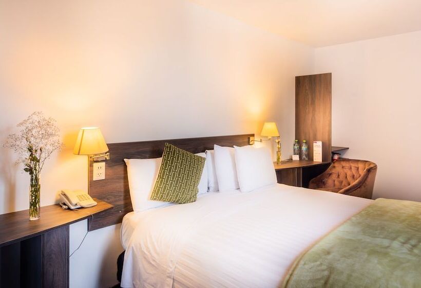 اتاق استاندارد یک نفره, Dreams Hotel Boutique