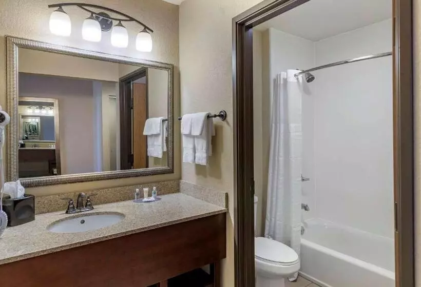 キングサイズベッドのスタンダードルーム, Comfort Inn & Suites