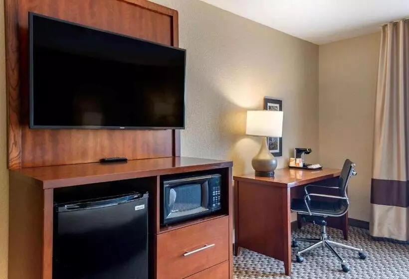 キングサイズベッドのスタンダードルーム, Comfort Inn & Suites