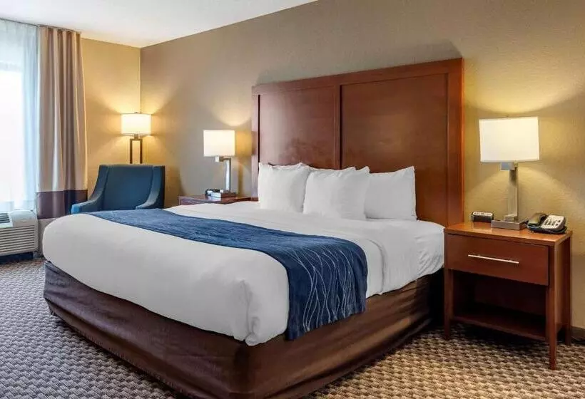 キングサイズベッドのスタンダードルーム, Comfort Inn & Suites