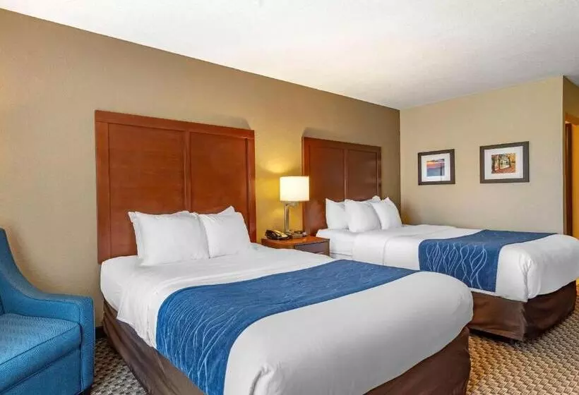 スタンダードルーム, Comfort Inn & Suites