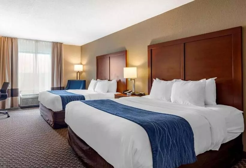 スタンダードルーム, Comfort Inn & Suites