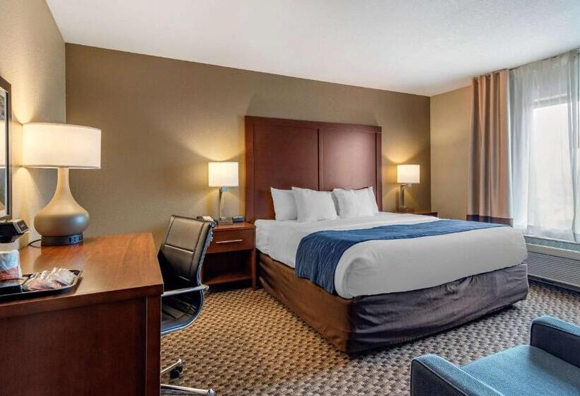 Люкс Адаптированный для Инвалидов, Comfort Inn & Suites