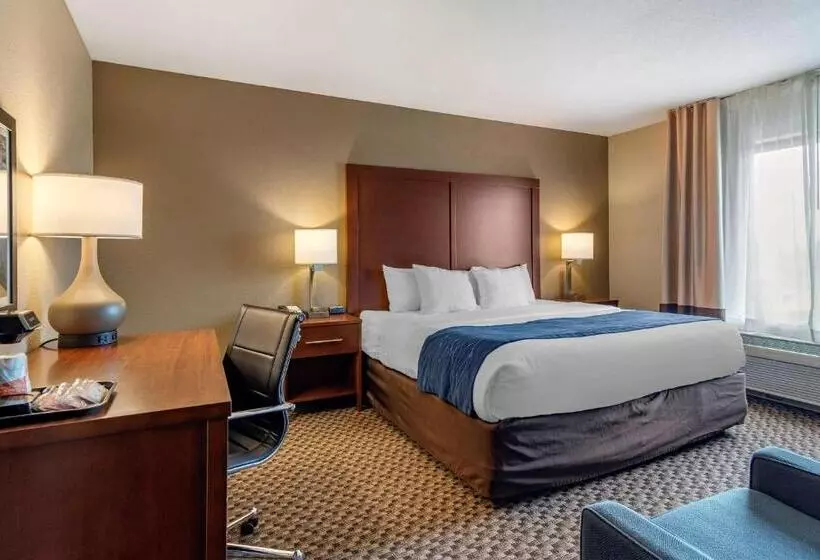 身障者適用スイートルーム, Comfort Inn & Suites