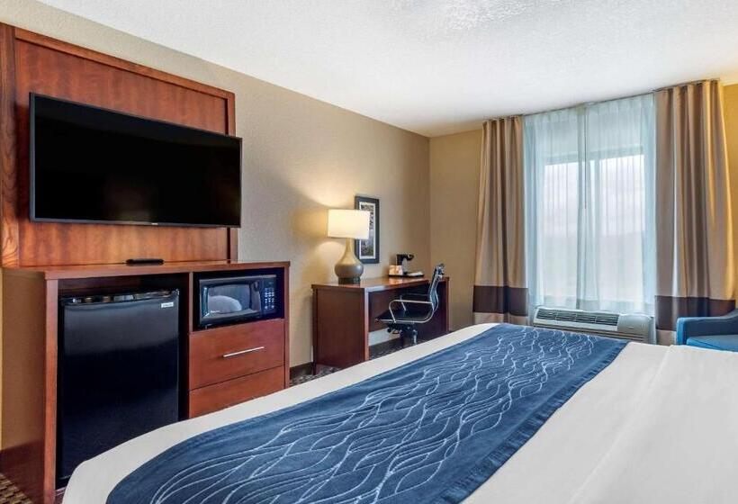 带大床的套房, Comfort Inn & Suites
