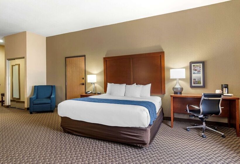Люкс Адаптированный для Инвалидов, Comfort Inn & Suites