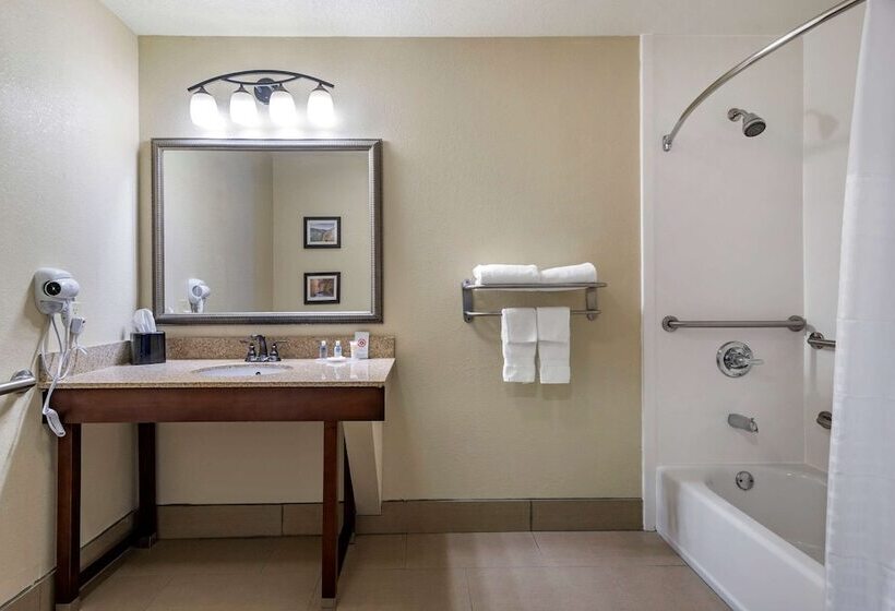 Люкс Адаптированный для Инвалидов, Comfort Inn & Suites