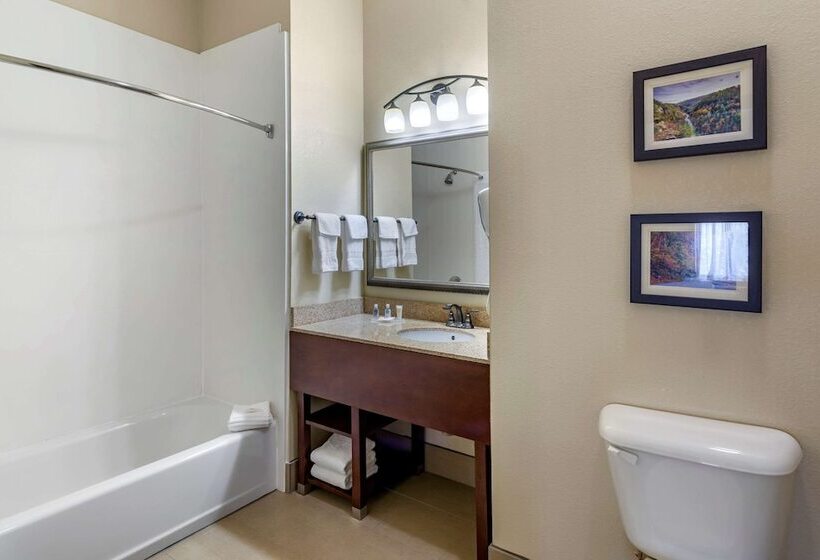 适合残疾人士使用的套间, Comfort Inn & Suites