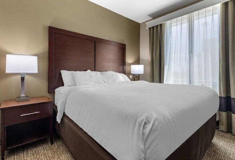 Люкс, Comfort Inn & Suites Near Lake Lewisville