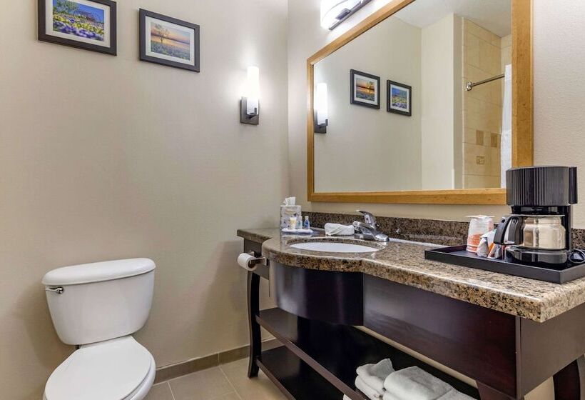 Люкс, Comfort Inn & Suites Near Lake Lewisville