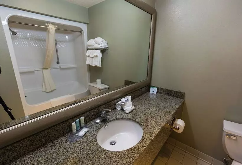 スイート, Comfort Inn & Suites Near Lake Lewisville