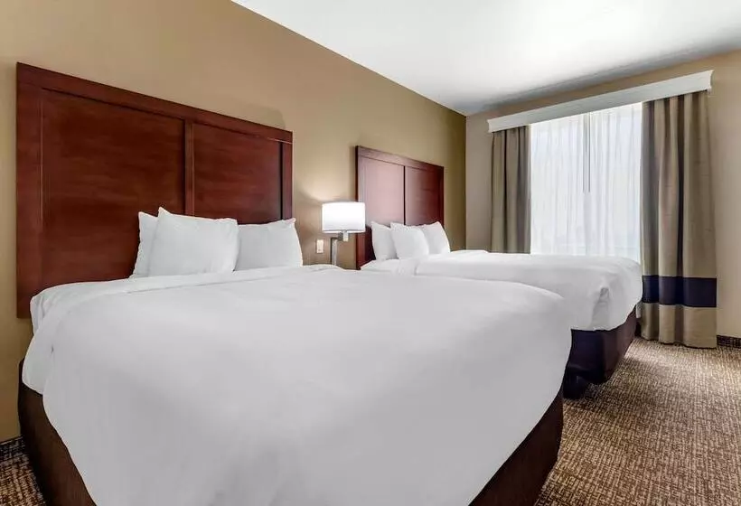 スイート, Comfort Inn & Suites Near Lake Lewisville