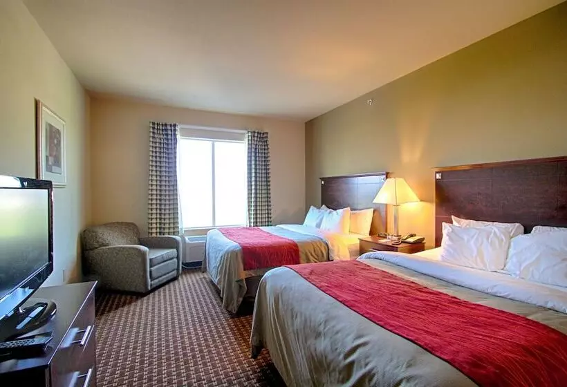 スイート, Comfort Inn & Suites Near Lake Lewisville
