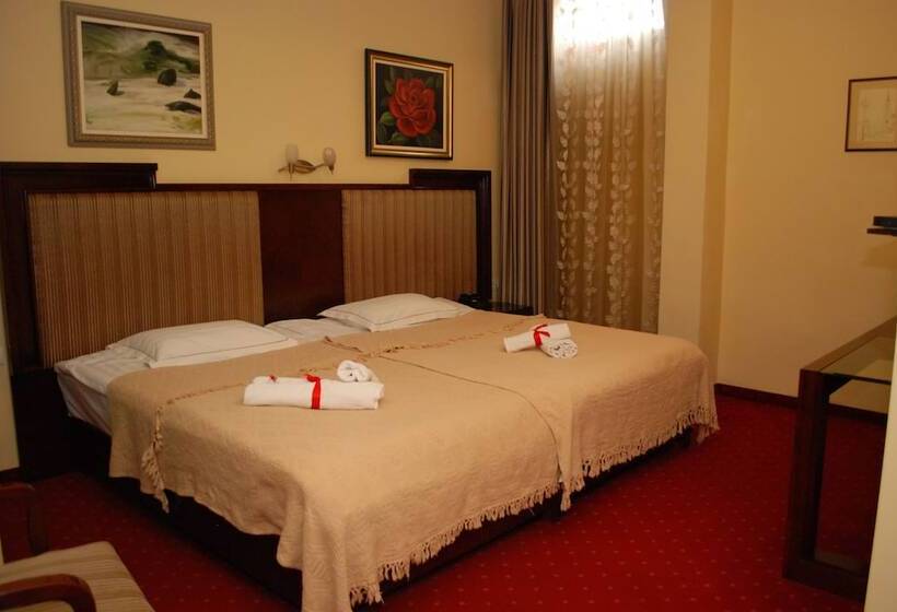 اتاق استاندارد یک نفره, Garni Hotel Planeta Inn