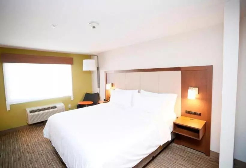 キングサイズベッドのスタンダードルーム, Holiday Inn Express Hotel & Suites Carlsbad, An Ihg