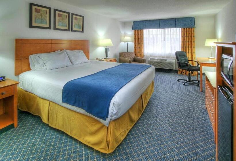 غرفة قياسية سرير كينج, Holiday Inn Express Hotel & Suites Carlsbad, An Ihg