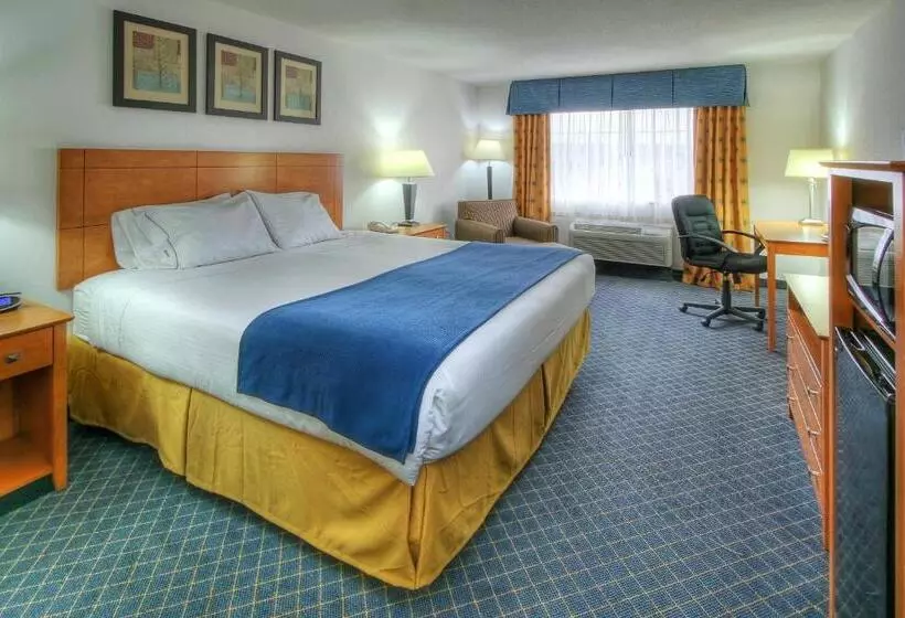 キングサイズベッドのスタンダードルーム, Holiday Inn Express Hotel & Suites Carlsbad, An Ihg