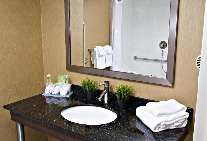 جناح لذوى الاحتياجات الخاصة, Holiday Inn Express Pembroke, An Ihg
