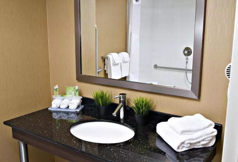 身障者適用スイートルーム, Holiday Inn Express Pembroke, An Ihg