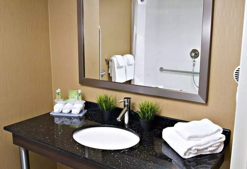 スイート, Holiday Inn Express Pembroke, An Ihg