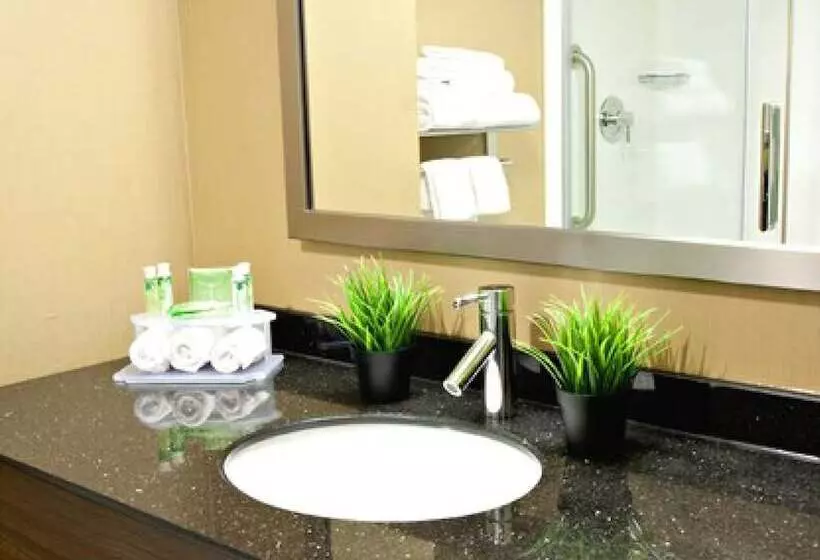 スイート, Holiday Inn Express Pembroke, An Ihg