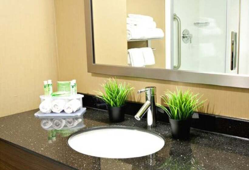 标准间, Holiday Inn Express Pembroke, An Ihg