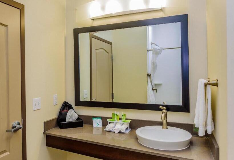 キングサイズベッドのスタンダードルーム, Holiday Inn Express & Suites Cheektowaga North East, An Ihg