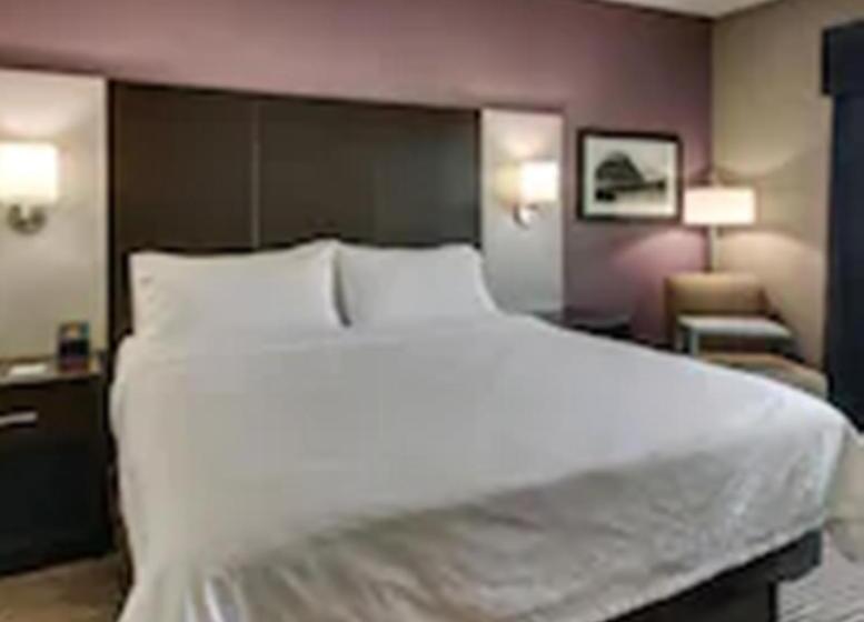 キングサイズベッドのスタンダードルーム, Holiday Inn Express & Suites Cheektowaga North East, An Ihg