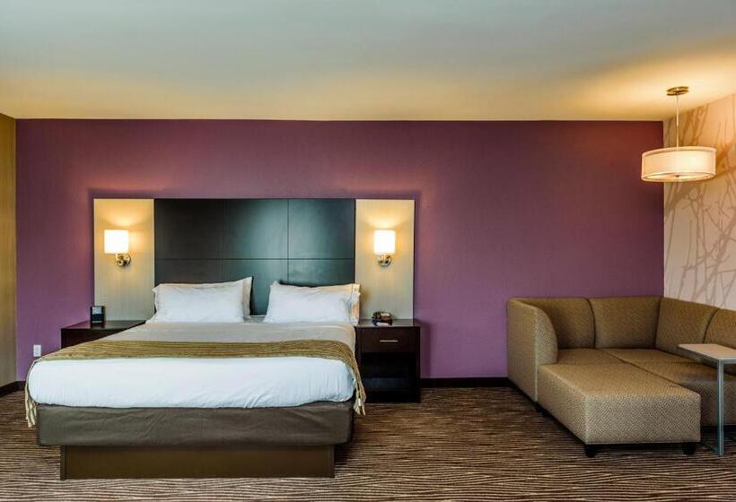 キングサイズベッドのエクゼクティブルーム, Holiday Inn Express & Suites Cheektowaga North East, An Ihg