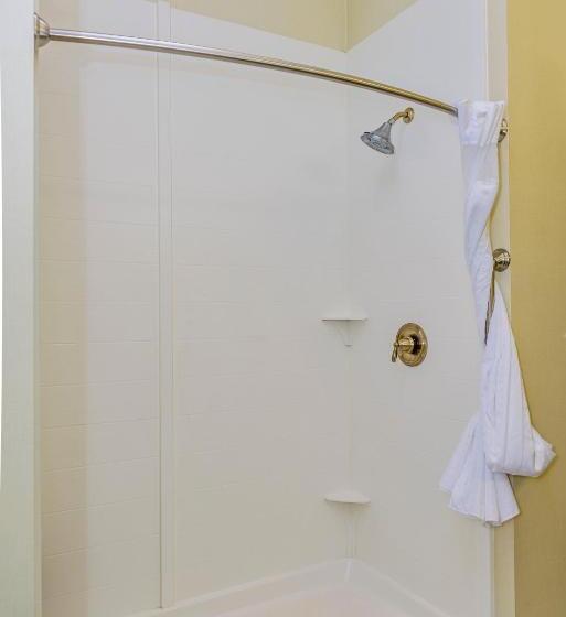 キングサイズベッドのエクゼクティブルーム, Holiday Inn Express & Suites Cheektowaga North East, An Ihg