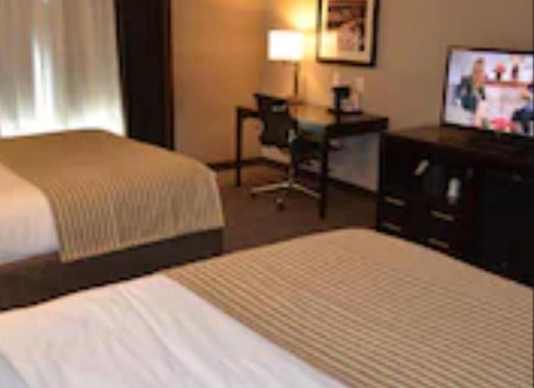 スタンダードルーム, Holiday Inn Express & Suites Cheektowaga North East, An Ihg