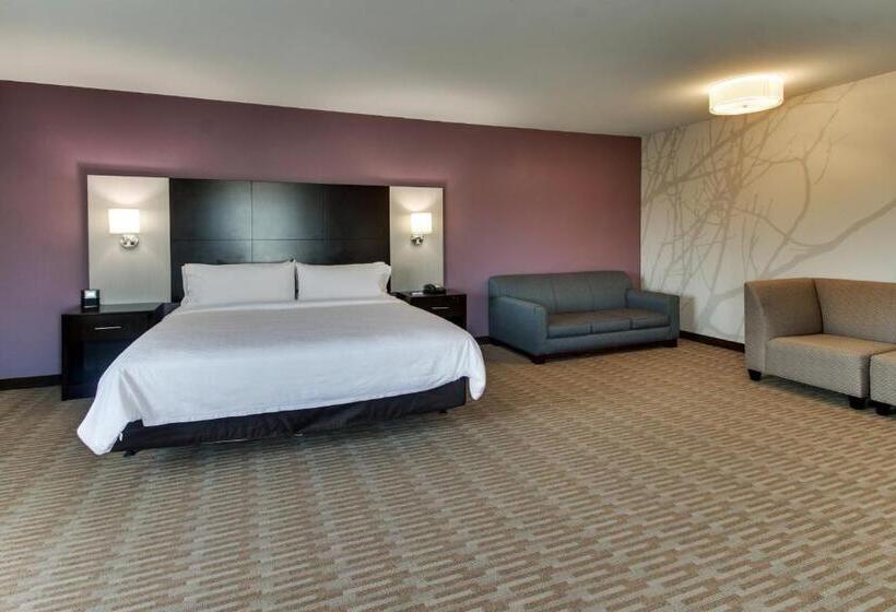 身障者適用キングサイズベッドルーム, Holiday Inn Express & Suites Cheektowaga North East, An Ihg