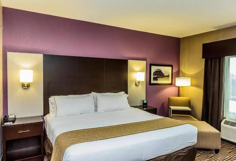 Standard-invahuone King-vuode, Holiday Inn Express & Suites Cheektowaga North East, An Ihg