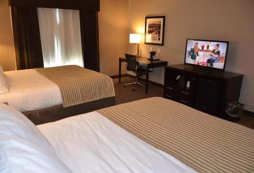Standard-invahuone, Holiday Inn Express & Suites Cheektowaga North East, An Ihg