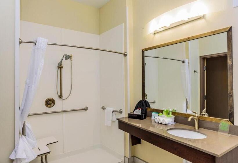 Номер Стандарт Адаптированный для Инвалидов, Holiday Inn Express & Suites Cheektowaga North East, An Ihg