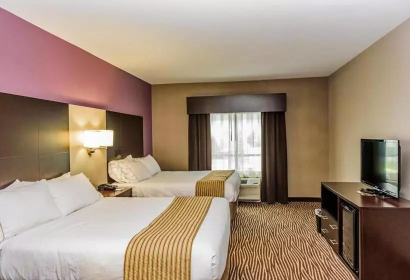 Standard-invahuone, Holiday Inn Express & Suites Cheektowaga North East, An Ihg