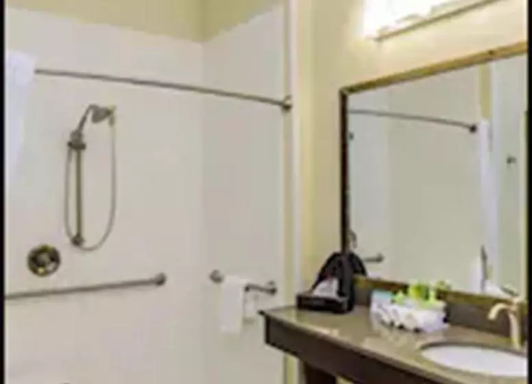 Deluxe-huone Soveltuu Liikuntarajoitteisille, Holiday Inn Express & Suites Cheektowaga North East, An Ihg