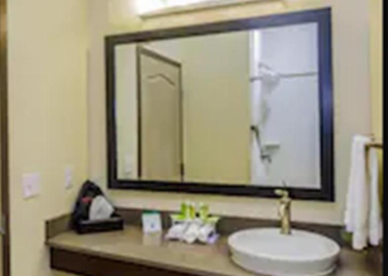 障害者適応デラックスルーム, Holiday Inn Express & Suites Cheektowaga North East, An Ihg