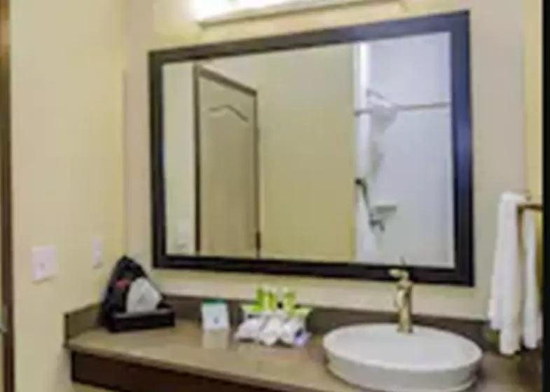 Deluxe-huone Soveltuu Liikuntarajoitteisille, Holiday Inn Express & Suites Cheektowaga North East, An Ihg