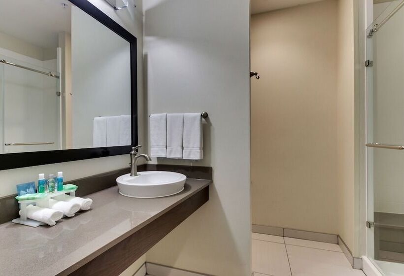 スタンダードルーム, Holiday Inn Express & Suites Cheektowaga North East, An Ihg