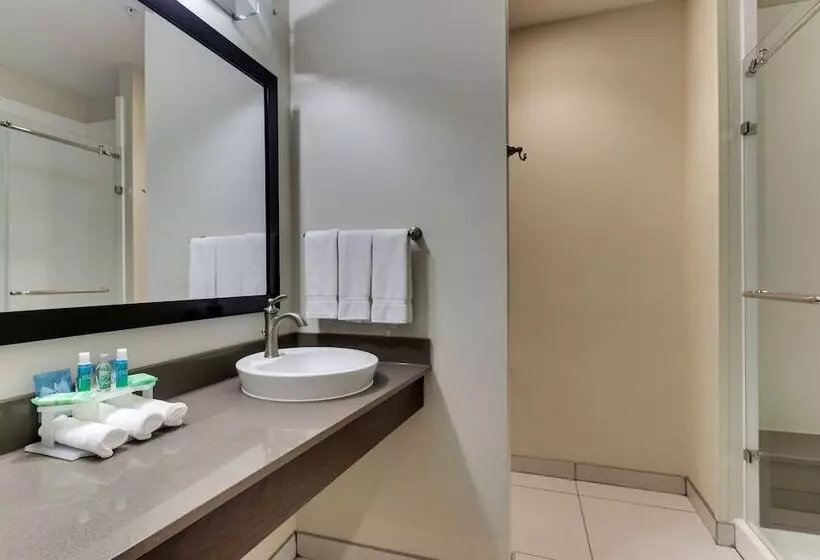 Standard-huone, Holiday Inn Express & Suites Cheektowaga North East, An Ihg