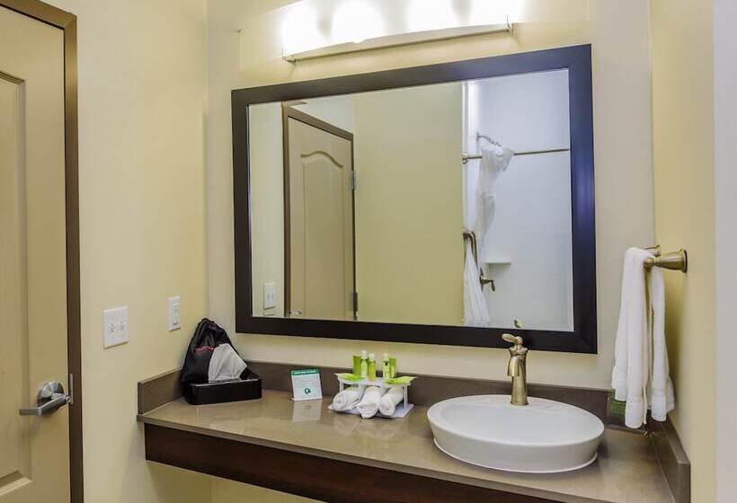 スタンダードルーム, Holiday Inn Express & Suites Cheektowaga North East, An Ihg