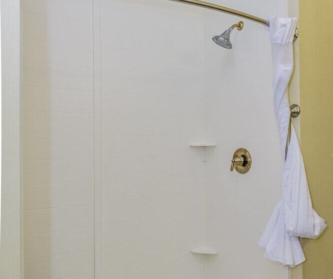 スタンダードルーム, Holiday Inn Express & Suites Cheektowaga North East, An Ihg