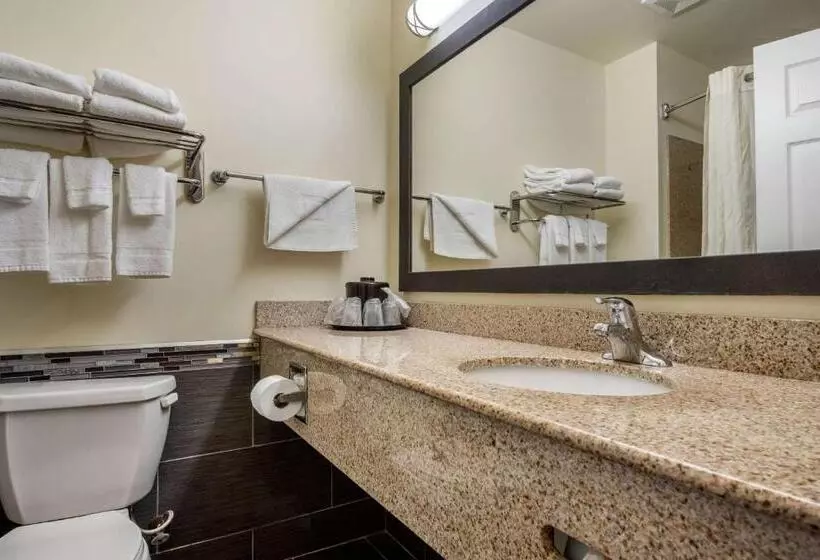 スタンダードルーム, Mainstay Suites Grantville   Hershey North