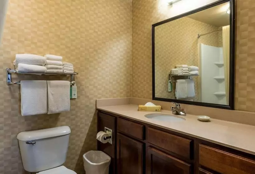 スイート, Mainstay Suites St. Robert Fort Leonard Wood