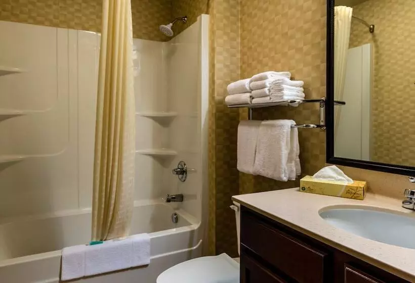 身障者適用スイートルーム, Mainstay Suites St. Robert Fort Leonard Wood