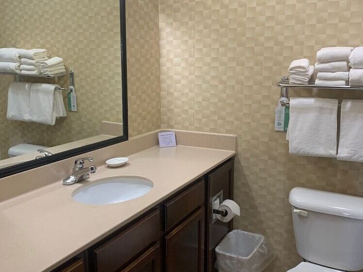 Люкс Адаптированный для Инвалидов, Mainstay Suites St. Robert  Fort Leonard Wood