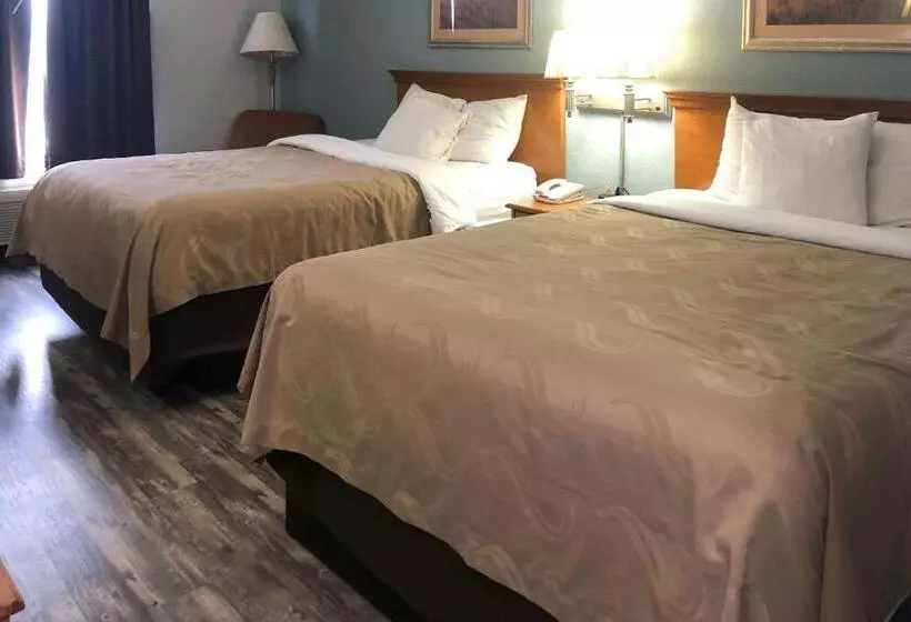 ２ダブルベッドのスタンダードルーム, Quality Inn Dublin I81