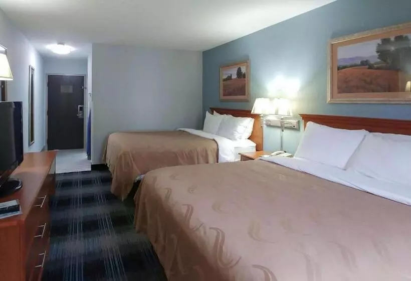 ２ダブルベッドのスタンダードルーム, Quality Inn Dublin I81