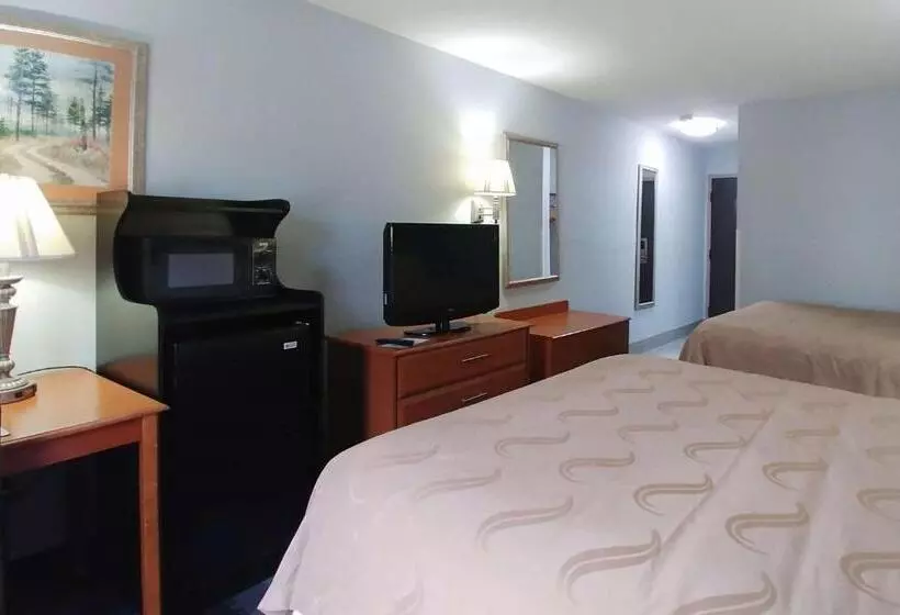 ２ダブルベッドのスタンダードルーム, Quality Inn Dublin I81
